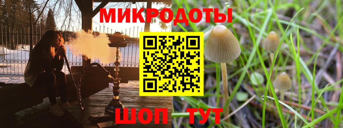 Черняховск  Галлюциногенные грибы прущие грибы  Вход с VPN 