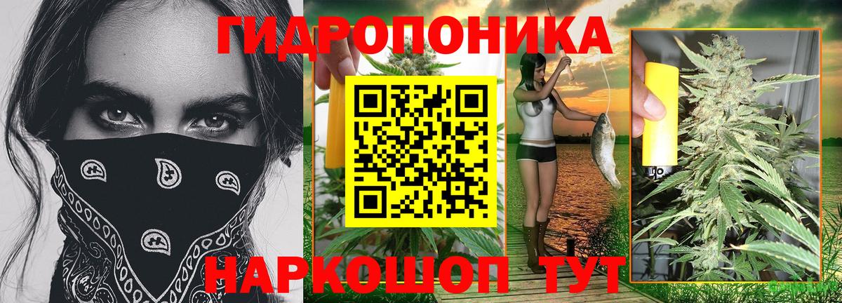 Черняховск  Бошки марихуана AK-47  Марихуана Ganja  Бошки Шишки MAZAR  Вход с VPN  Канабис индика 